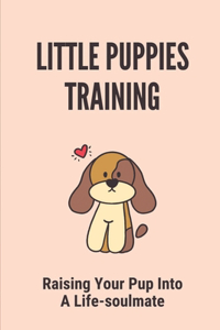 Little Puppies Training