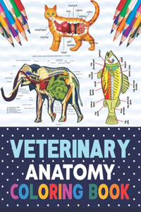 Veterinary Anatomy Coloring Book