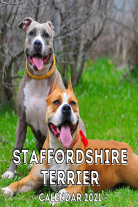 Staffordshire Terrier