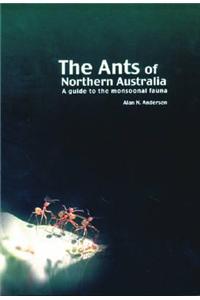 Ants of Northern Australia