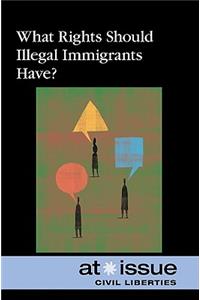 What Rights Should Illegal Immigrants Have?