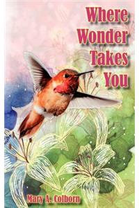 Where Wonder Takes You