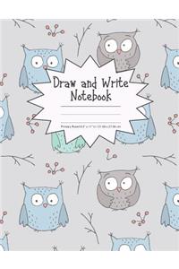 Draw and Write Notebook Primary Ruled 8.5 x 11 in / 21.59 x 27.94 cm