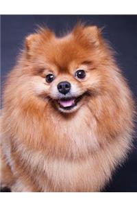 Pomeranian Notebook