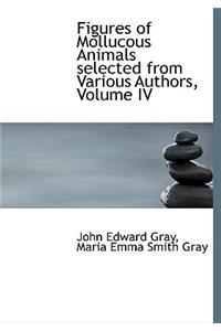 Figures of Mollucous Animals Selected from Various Authors, Volume IV