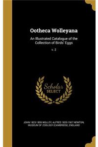 Ootheca Wolleyana