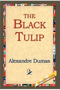Black Tulip