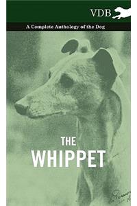 Whippet - A Complete Anthology of the Dog