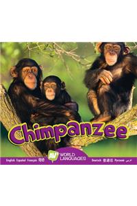 Chimpanzee