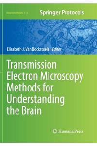 Transmission Electron Microscopy Methods for Understanding the Brain