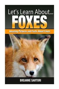 Foxes: Amazing Pictures and Facts about Foxes