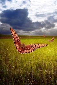 Butterfly Field Journal