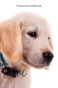 Password Notebook: Medium-Size Internet Address and Password Logbook / Journal / Diary - Golden Retriever Puppy Cover