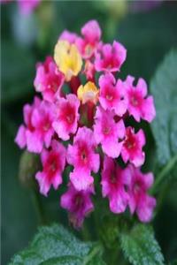 Floral Journal Pink Flowers