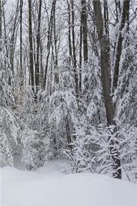 Winter Journal Snowy Forest Scene