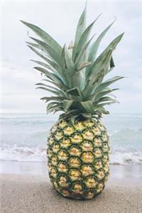 Say Hello to the Pineapple on the Beach Tropical Vacation Journal