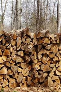Journal Rural Woodpile Rustic Trees