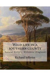 Wild life in a southern county, By