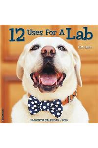 12 Uses for a Lab 2019 Wall Calendar (Dog Breed Calendar)