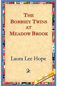 Bobbsey Twins at Meadow Brook