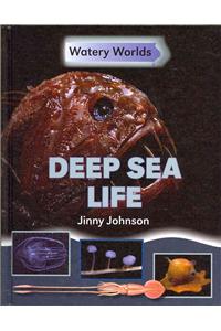 Deep Sea Life