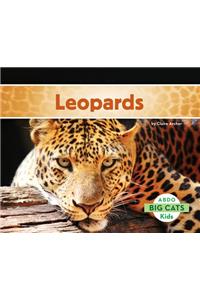 Leopards