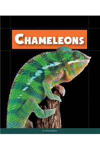 Chameleons