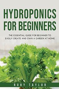 Hydroponics for Beginners