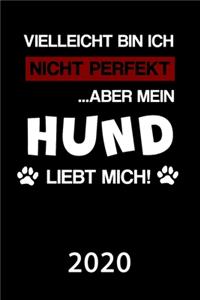 Hund 2020