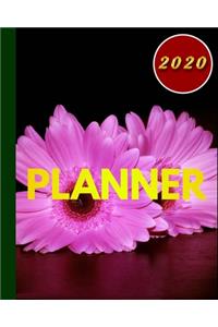 2020 Planner: Best Weekly and Monthly planner Jan 1, 2020 2021 to Dec 31, 2020 2021 - Include Weekly & Monthly Planner + Calendar and 100 plank pages to write.