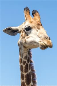 Notebook Giraffe