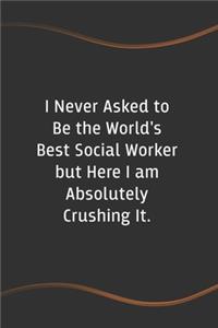 I Never Asked to Be the World's Best Social Worker