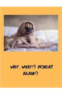 Wait...What!? Monday Again!?