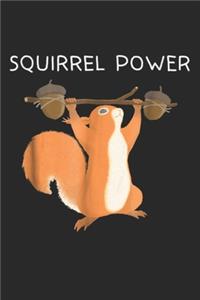 Squirrel Power