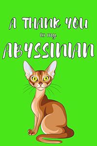 A Thank You To My Abyssian