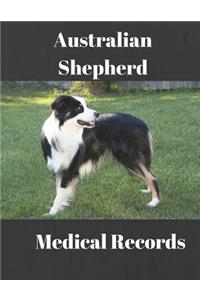 Australian Shepherd Medical Records