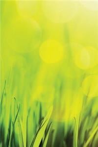 In the Grass Notebook