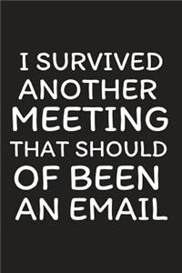 I Survived Another Meeting That Should of Been an Email