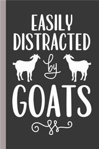 Easily Distracted by Goats