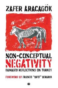 Non-Conceptual Negativity