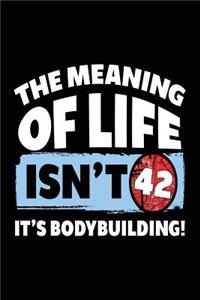 The Meaning Of Life Isn't 42 It's Bodybuilding