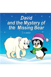 David and the Mystery of the Missing Bear