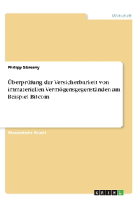 Überprüfung der Versicherbarkeit von immateriellen Vermögensgegenständen am Beispiel Bitcoin