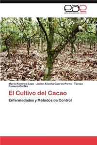 Cultivo del Cacao