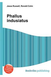 Phallus Indusiatus