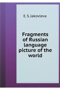 Fragments of Russian language picture of the world