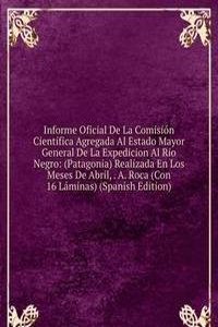 Informe Oficial De La Comision Cientifica Agregada Al Estado Mayor General De La Expedicion Al Rio Negro: (Patagonia) Realizada En Los Meses De Abril, . A. Roca (Con 16 Laminas) (Spanish Edition)