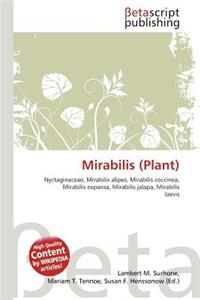 Mirabilis (Plant)