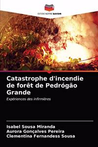 Catastrophe d'incendie de forêt de Pedrógão Grande