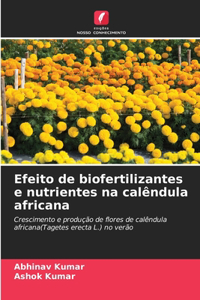 Efeito de biofertilizantes e nutrientes na calêndula africana